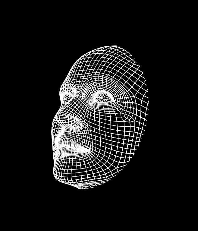 Real-time facial recognition project preview